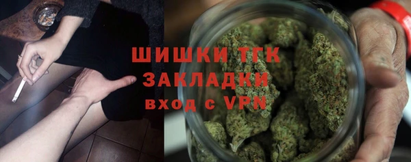 твердый Дмитриев