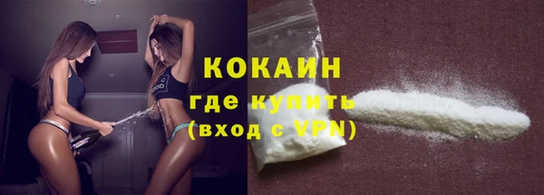 твердый Дмитриев