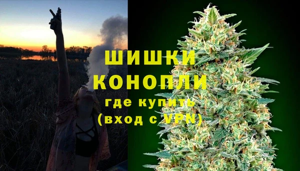 твердый Дмитриев