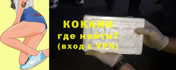 твердый Дмитриев
