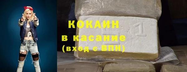 твердый Дмитриев