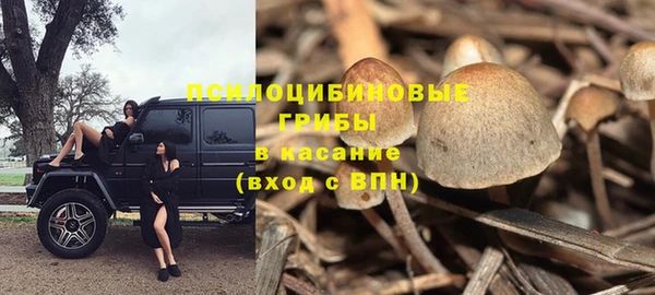 твердый Дмитриев