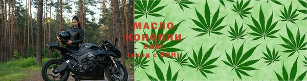 индика Елабуга