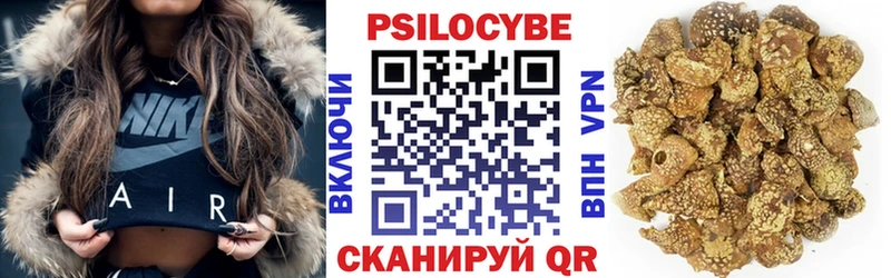 Псилоцибиновые грибы MAGIC MUSHROOMS  Купить закладки  Карабаново 